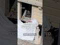 Manhunt in Monaco after tycoon targeted by bomb