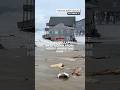 Homes collapse into ocean from heavy hurricane surf