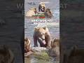 Who won Fat Bear Week 2025?