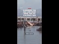 Chonkers the sea lion goes viral for its colossal size