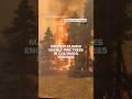 Massive flames engulf pine trees in Colorado wildfire