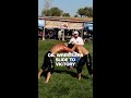 Watch: Oil wrestlers slide to victory