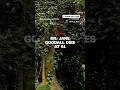 Dr. Jane Goodall dies at 91