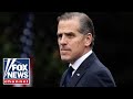 Hunter Biden makes 'UNBELIEVABLE' admission: 'Voice of sanity'