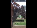 Kentucky Derby predictions by CNN anchors