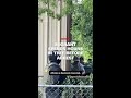 Migrant spends more than eight hours in a tree to avoid ICE arrest