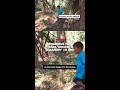 Indigenous tribe uses ‘ancient wizardry’ to fish