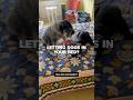 Dogs in your bed? Research says good for some and bad for others