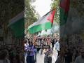 Thousands protest across Italy over Gaza
