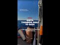 Greta Thunberg sails to Gaza