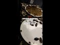 Australia seizes illegal cockroaches worth 0k