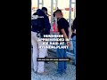 Hundreds apprehended in ICE raid at Hyundai plant