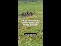 Pilot of crashed plane describes what it was like being rescued from alligator-infested swamp