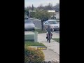Driver chases child riding a bike on neighborhood sidewalk