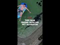 This man swims with his pet alligator