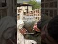 Israeli soldier appears to desecrate Virgin Mary statue in Lebanon