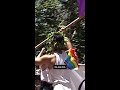 Trump Admin targets LGBTQ+ community during Pride Month
