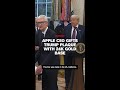 Apple CEO gifts Trump plaque with 24K gold base