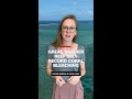 Great Barrier Reef sees record coral bleaching