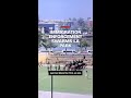 Immigration enforcement swarms LA park