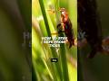 Tick season is in full swing: What you need to know to stay safe