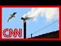 White smoke: Cardinals have chosen the next pope