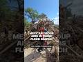 Mexican first responders join search efforts in #Texas