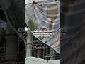 Draping covers scaffolding at White House