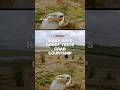 Robot tests fiddler crab courtship tactics