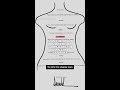 Does the Trump ‘letter’ complicate the News Corp lawsuit?