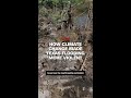 How climate change made Texas flooding more violent