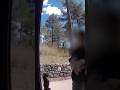 Doorbell camera shows kids fleeing Colorado shooting
