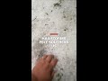 Hailstorms pelt southern US
