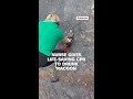 Nurse gives life-saving CPR to drunk racoon