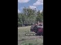 Child emerges from vehicle after high-speed chase turns into rollover crash