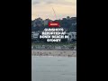Gunshots reported at Bondi Beach in Sydney