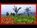 Colombia braces for potential US decertification over drugs