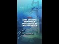 19th century shipwreck discovered in Lake Michigan