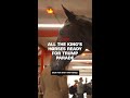 All the king's horses ready for Trump parade