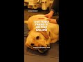 This furry friend is helping sailors