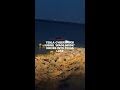 Tesla Cybertruck using ‘Wade Mode’ drives into Texas lake