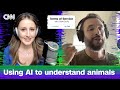 Can AI really help us decode our pets’ communication? | Terms of Service