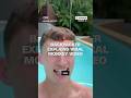 Backpacker explains viral monkey video