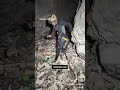 Caves near China’s ‘Avatar Mountains’ found packed with decade-old trash