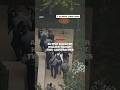 Active shooter hoaxes target two universities