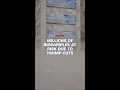 Millions of biosamples at risk due to Trump cuts