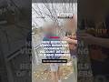 New bodycam video: Surviving roommates recount details of Idaho Murders