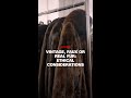 Vintage, faux or real fur: ethical considerations