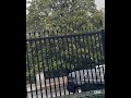 Two people shot and wounded in an encounter with Secret Service near White House