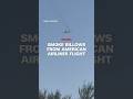 Smoke billows from American Airlines flight